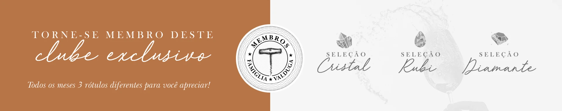 Banner Completo Grande Desktop (1920x380)