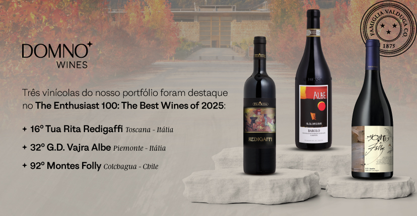 Premiação Domno 09/12 (828x430)