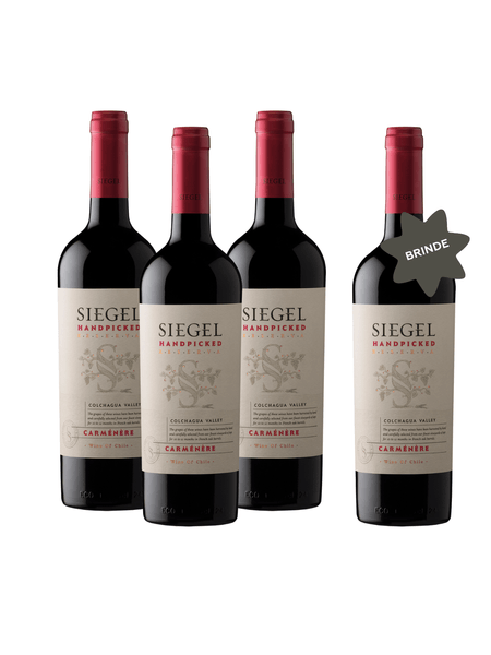 Compre-3-Leve-4---Siegel