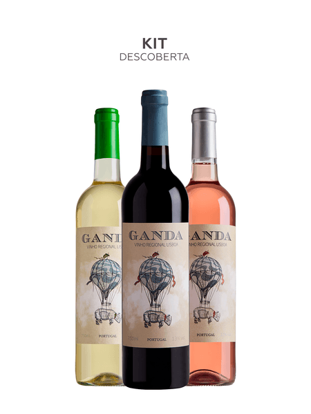 1200x1600-kit-1-descoberta